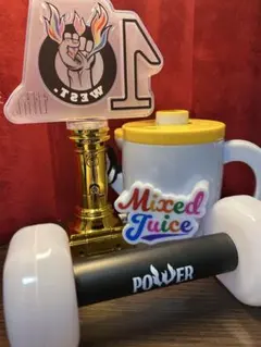 R*E様 WEST. ペンライト