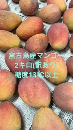 宮古島産マンゴー　糖度13%以上 訳あり4キロ 宮古島産マンゴー 糖度13%以上 訳あり4キロ - メルカリ