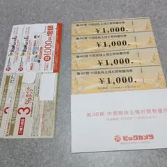 ビックカメラ　株主優待券　1,000円×4枚