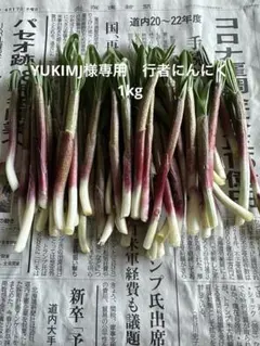 YUKIMJ様専用ページ　行者にんにく1kg