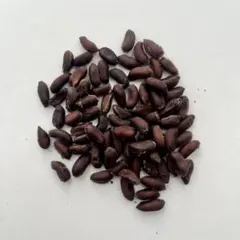 貴チョコ様 リクエスト 2点 まとめ商品