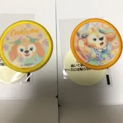 Disney 20ダッフィー＆フレンズ　ワッペン【クッキー•アン】