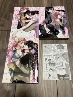美人なジュン君の溺愛指導 1-3巻セット 特典ペーパー付のサムネイル