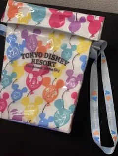 公式 東京ディズニーリゾート ポップコーンケース