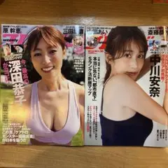 週刊プレイボーイ　2冊セット　ピンナップ付き☆DVDなし