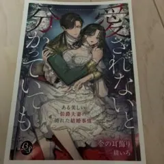 TL小説 愛されないと分かっていても