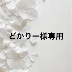 どかりー様 リクエスト 2点 まとめ商品