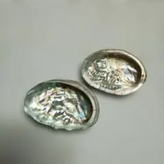 アワビの殻2個セットです。