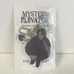 チャウヌ MYSTERY ELEVATOR スペシャルチケットB ＆缶バッジ - メルカリ