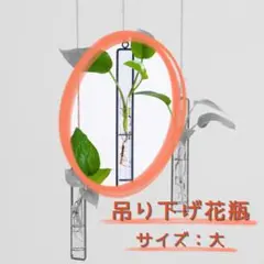 吊り下げ花瓶 大サイズ ガラス 北欧風 インテリア 雑貨 観葉植物 トイレ 玄関