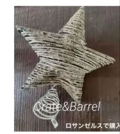 希少(美品)Crate&Barrelクリスマスオーナメント LA購入ツリースタ