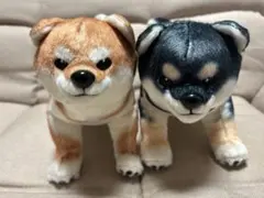 柴犬　ぬいぐるみ　FANS