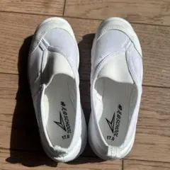 Item thumbnail for item 3dcca429-8bf6-42b9-86e3-d2ec3f9f9ece