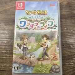Nintendo Switch 牧場物語 Welcome! ワンダフルライフ