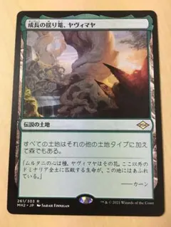 MTG 成長の揺り篭、ヤヴィマヤ 日本語 1枚