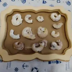 貝殻　オオヘビガイ　海　自然　漂着物　標本　蚤の市　インテリア　オブジェ