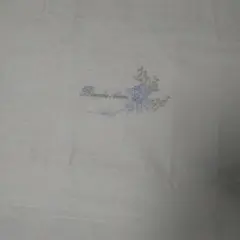 Item thumbnail for item cc571ad2-dda2-477e-bce1-5b046c11b078