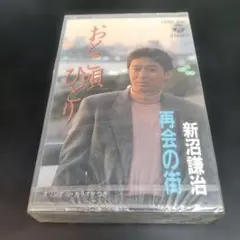 Item thumbnail for item e2069c5d-a6cb-44b4-a035-2ff156231ffb