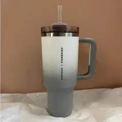 台湾 スターバックス 25'スタンレー ステンレス タンブラー 日本未発売