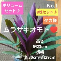 タカ様 リクエスト 3点 まとめ商品