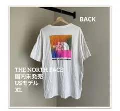 THE NORTH FACE 国内未発売 USモデル ボックスロゴTシャツXL