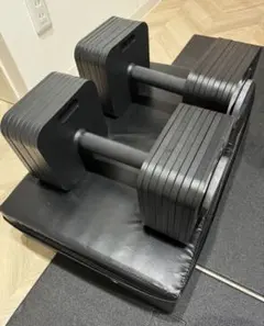 Eisenlink 可変式ダンベル 20kg x2 - メルカリ