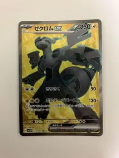 2025年最新】ゼクロム ex srの人気アイテム - メルカリ