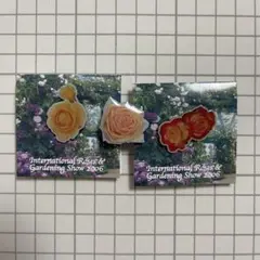 익명 배송 장미 핀 배지 3 개 세트