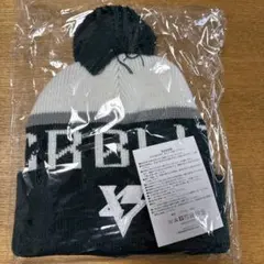 トヨタヴェルブリッツ