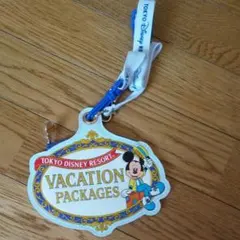 ディズニーリゾート チケットホルダー