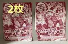 当時物】ワンピース お台場冒険王 メモリアルパスポート チラシ 2005年