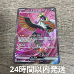 キチキギスex sr