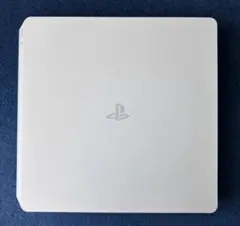 SONY PS4 本体　CUH-220A B02
