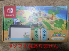 Nintendo Switch あつまれどうぶつの森デザイン 本体