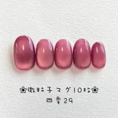 【即購入ok】マグネットネイルチップ　ショートオーバル　ニュアンス　四季29