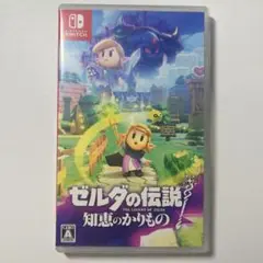 ゼルダの伝説 知恵のかりもの Nintendo Switch