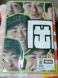 Item thumbnail for item ae0bde88-8ecd-438b-aa1f-95322ce4bf78