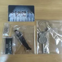 2026年最新】StrayKids giant アクスタの人気アイテム - メルカリ