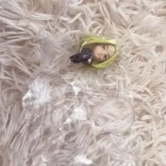 サカモトデイズ フィギュア 神々廻 ガチャガチャ カプセルフィギュアコレクション