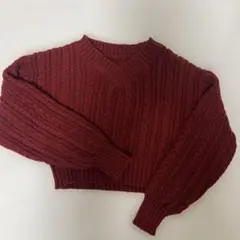 バーガンディリブ