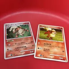 2025年最新】ウインディ デッキの人気アイテム - メルカリ
