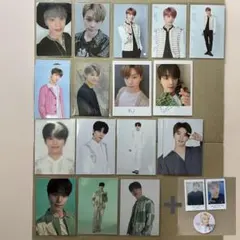 ディノ トレカ セット 缶バッジ おまけ(プロマイド)付き