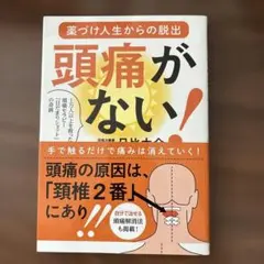 頭痛がない! 薬づけ人生からの脱出 1万人以上を救った頭痛セラピー「日だまりシ…