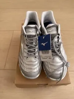 Mizuno Monarcida Neo Sala Pro TF 27.5cm