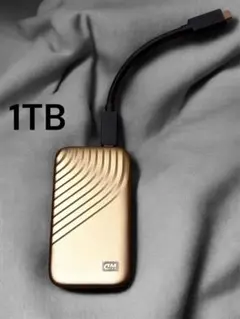 ウエスタンデジタル ポータブルSSD 1TB ゴールド My Passport