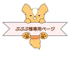 ぷぷぷ様専用ページ