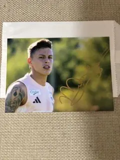 正規品 adidas アルビレックス新潟「31」堀米悠斗 半袖 L ユニフォーム 正規品 adidas アルビレックス新潟「31」堀米悠斗 半袖 L