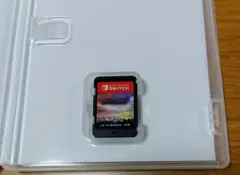 【美品】ダンジョンズ4 SWITCH