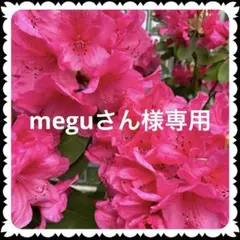 meguさん様専用ページ•*¨*•.¸♬︎