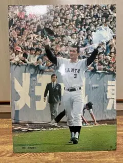 ちょ希少　長嶋茂雄　さよなら試合　パネル